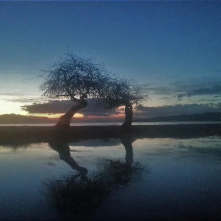 아파트 Malindi